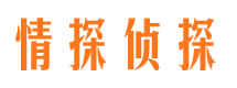 馆陶找人公司